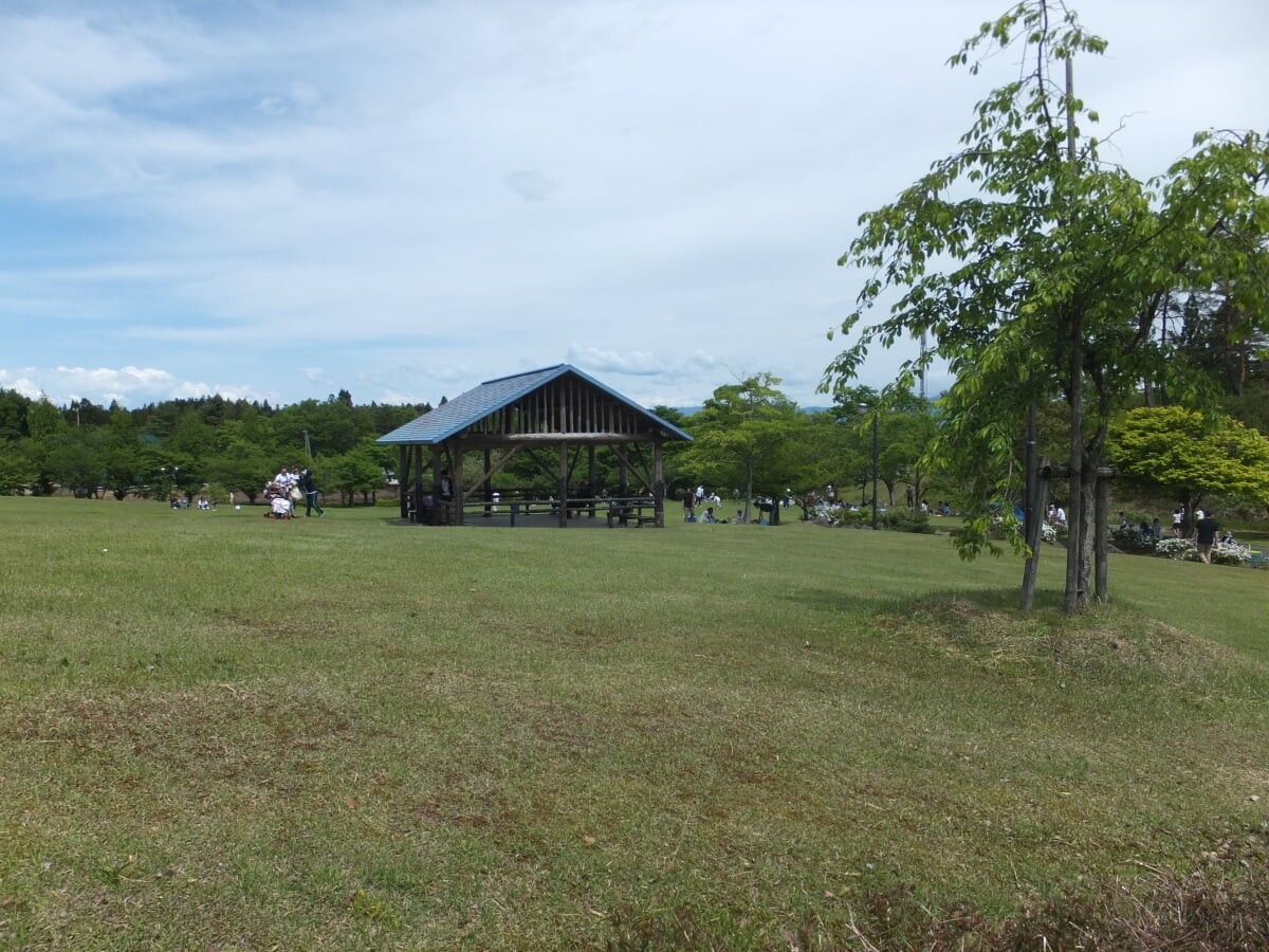 大仙市総合公園の写真1