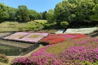 あつぎつつじの丘公園