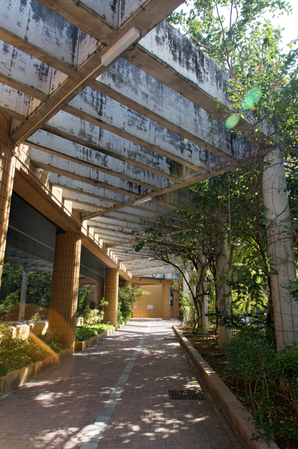 沖縄県立図書館の写真1