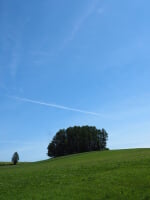 マイルドセブンの丘