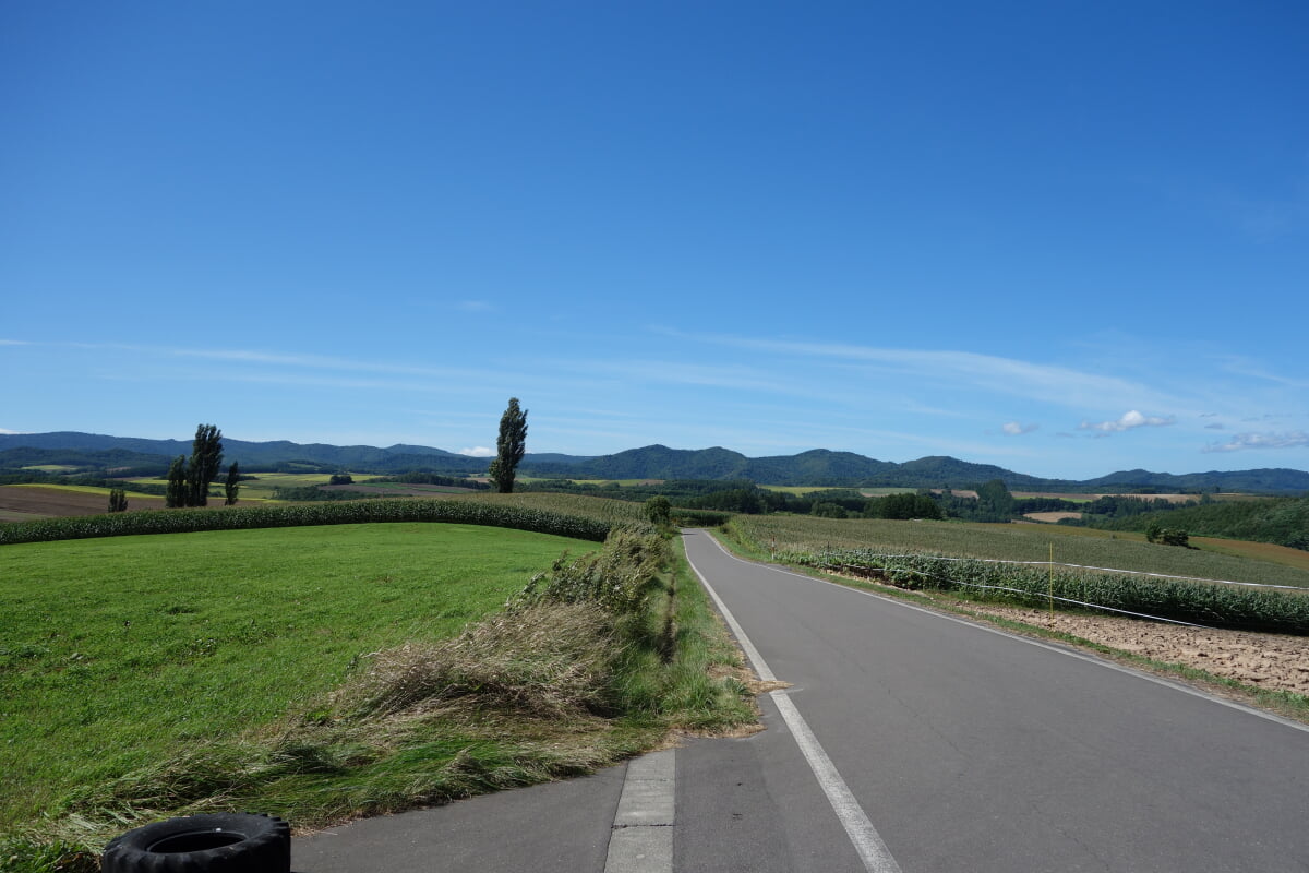 マイルドセブンの丘の写真4