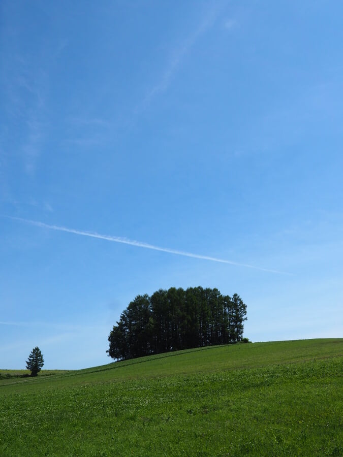 マイルドセブンの丘の写真1