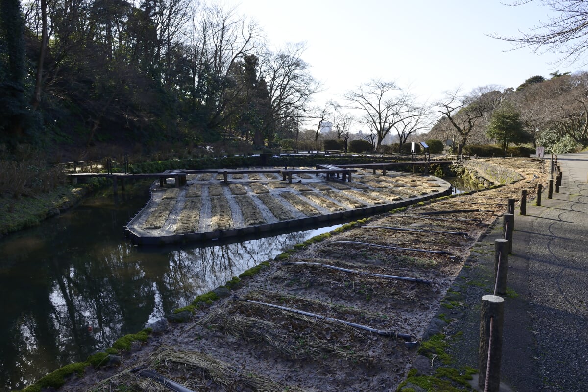 卯辰山公園の写真7