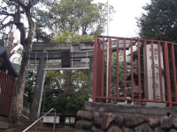 上高田氷川神社