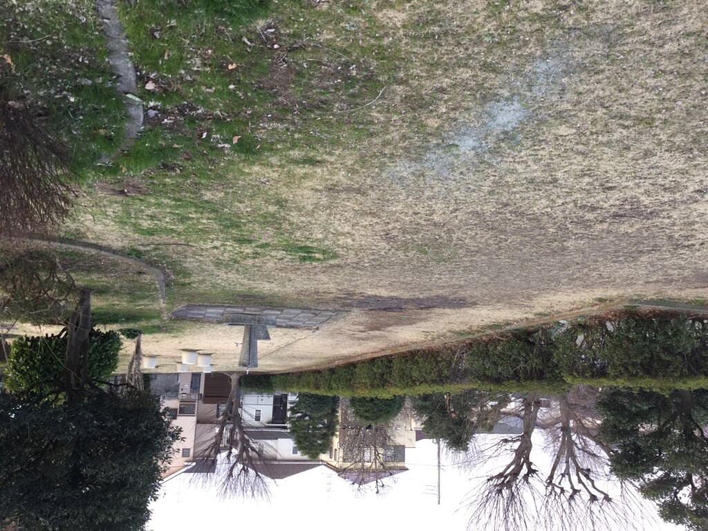 丸石公園の写真4