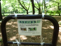 相模原中央緑地