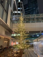 渋谷ストリーム