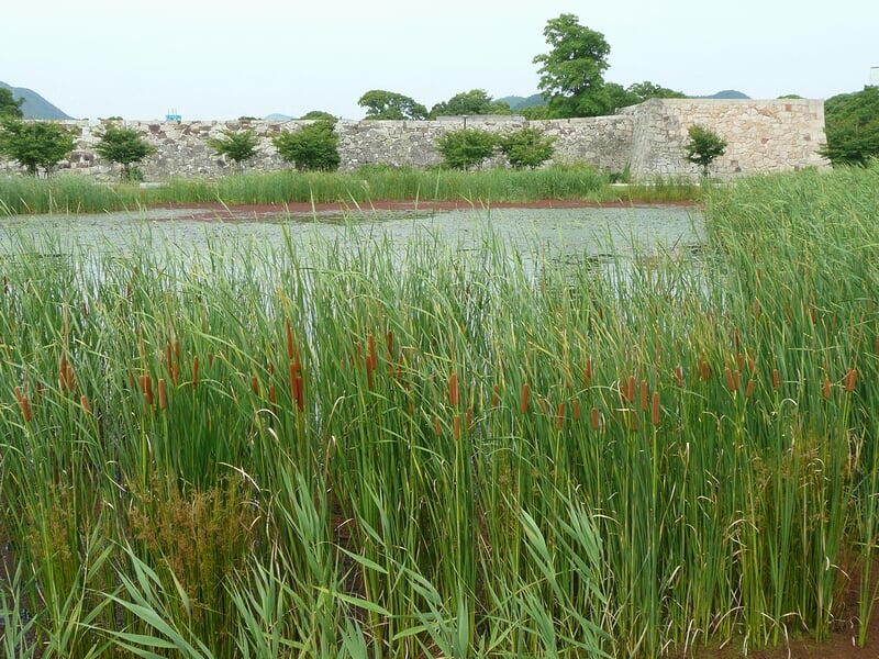 国史跡 赤穂城跡の写真15