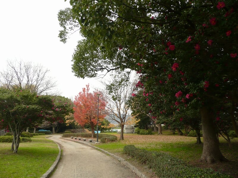 国史跡 赤穂城跡の写真16