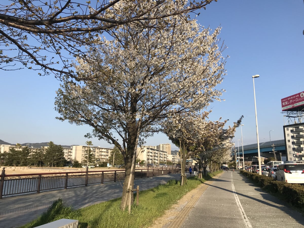 イオンモール香椎浜の写真3