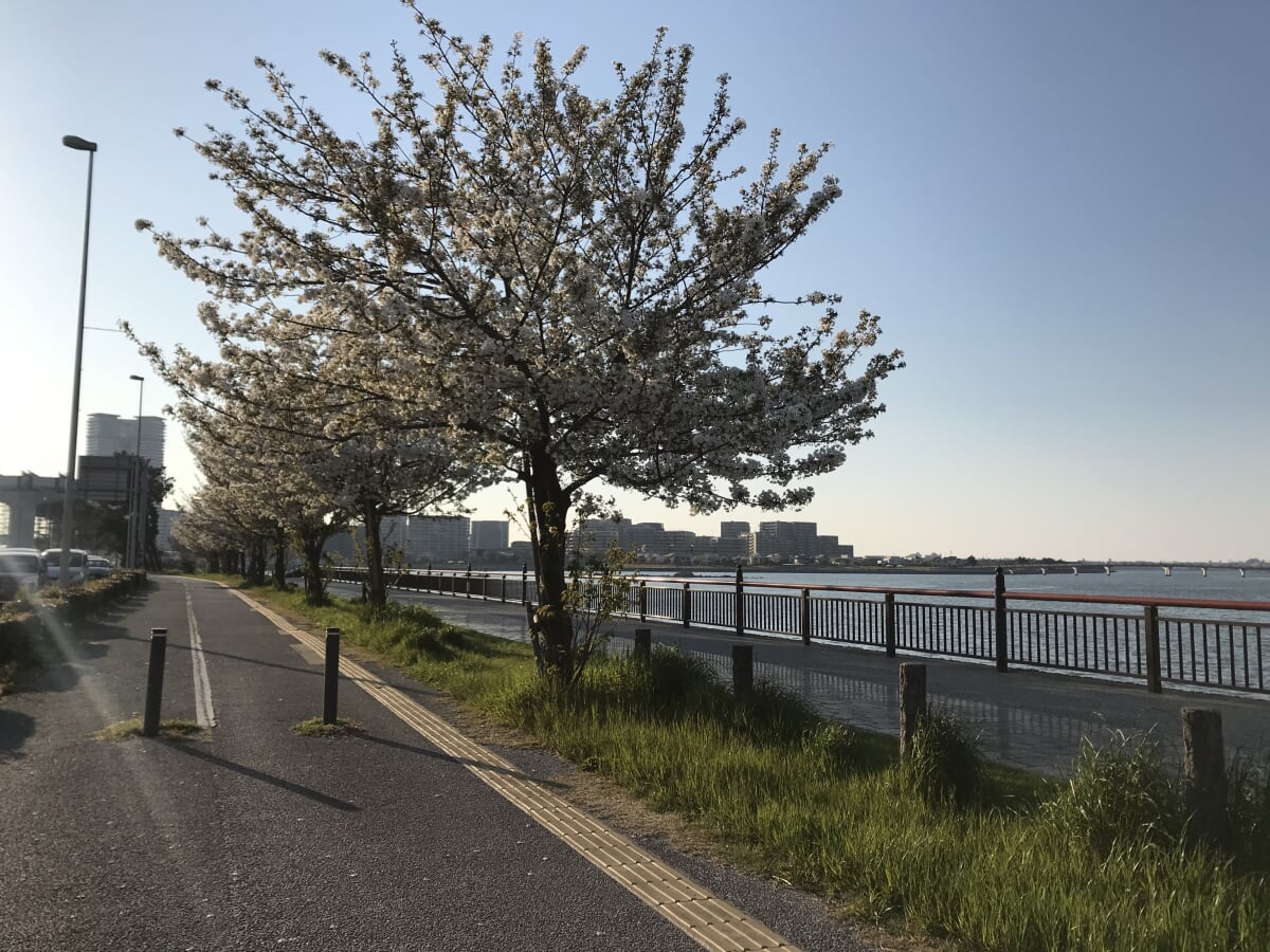 イオンモール香椎浜の写真8