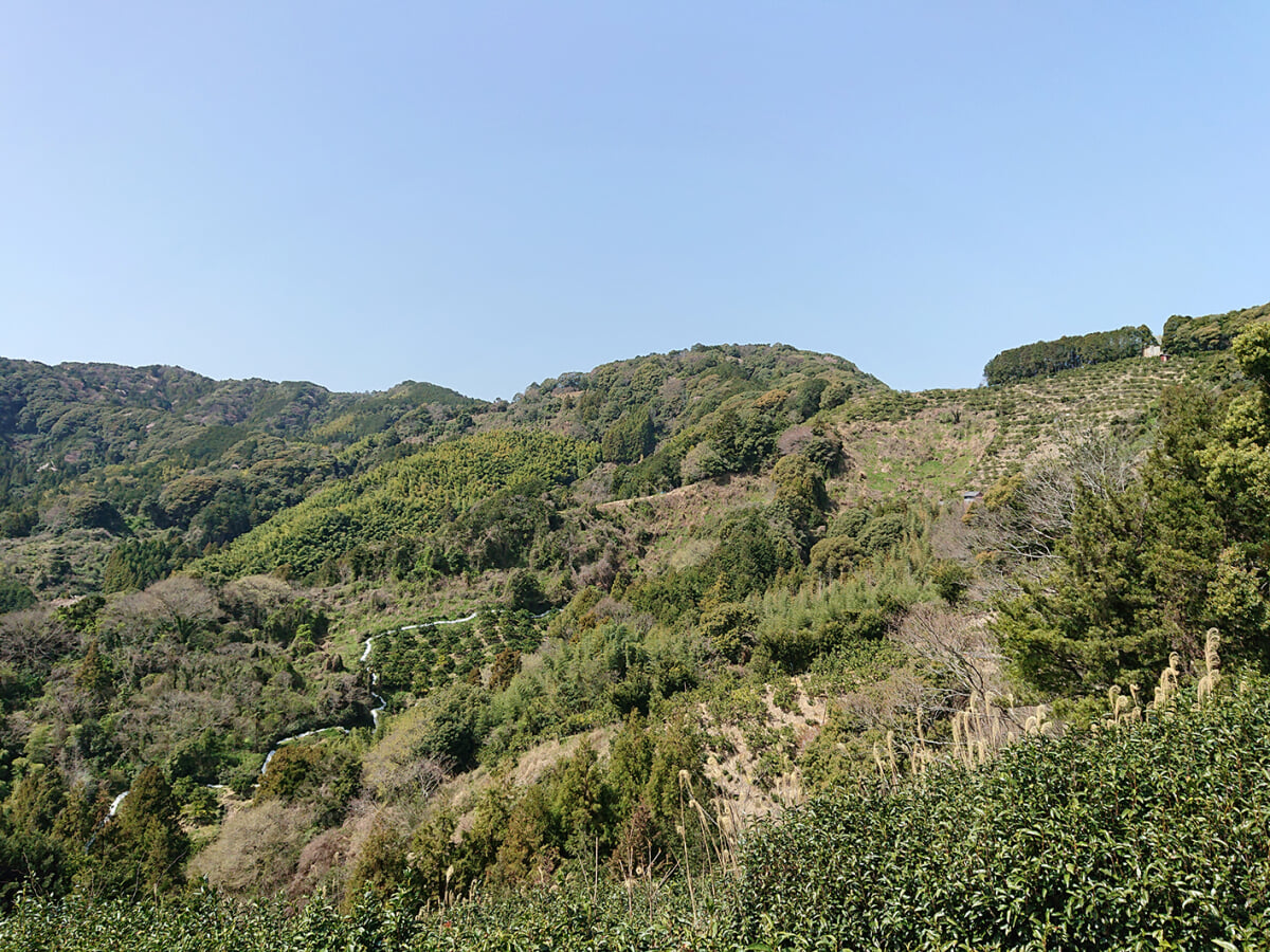 花倉城跡の写真1