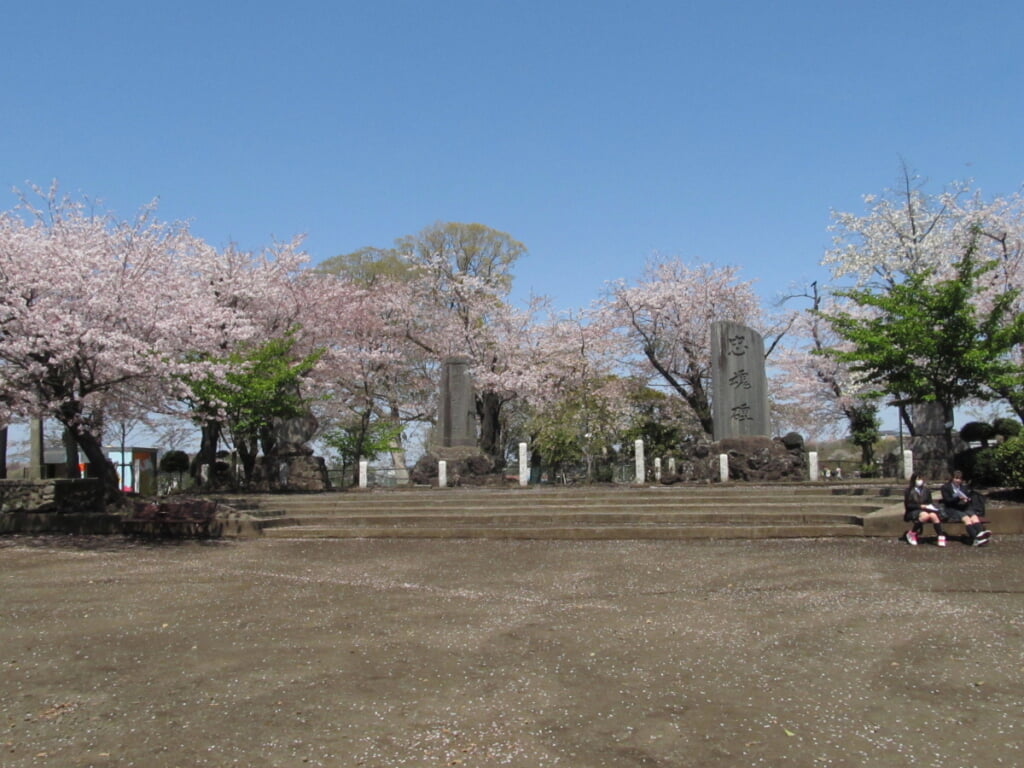 伊勢山緑地の写真1