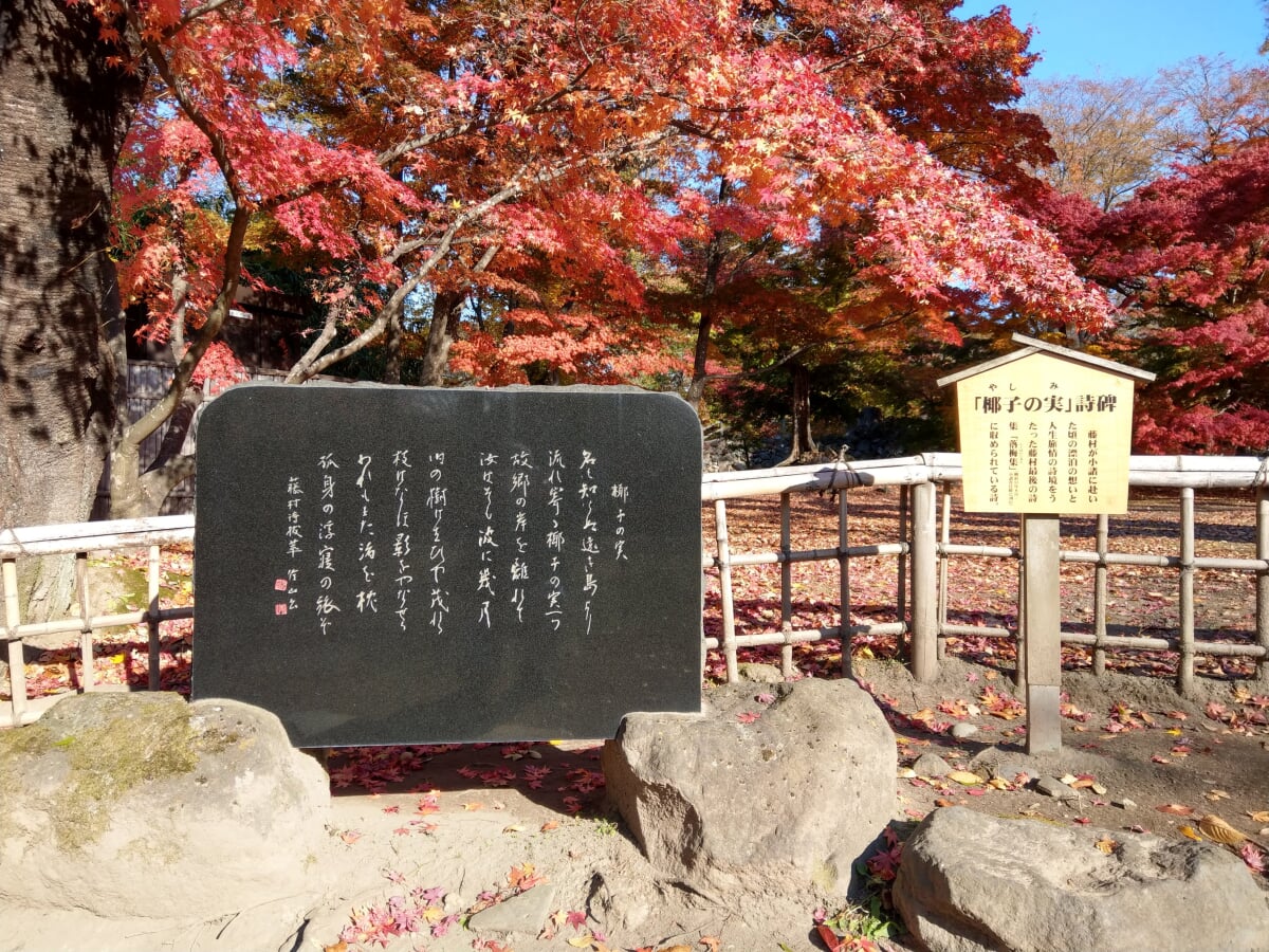 藤村記念館の写真6