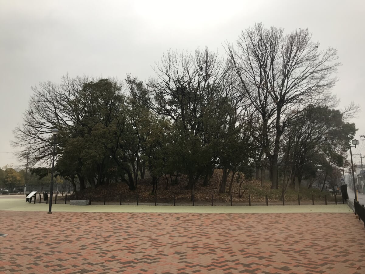 収塚古墳の写真1