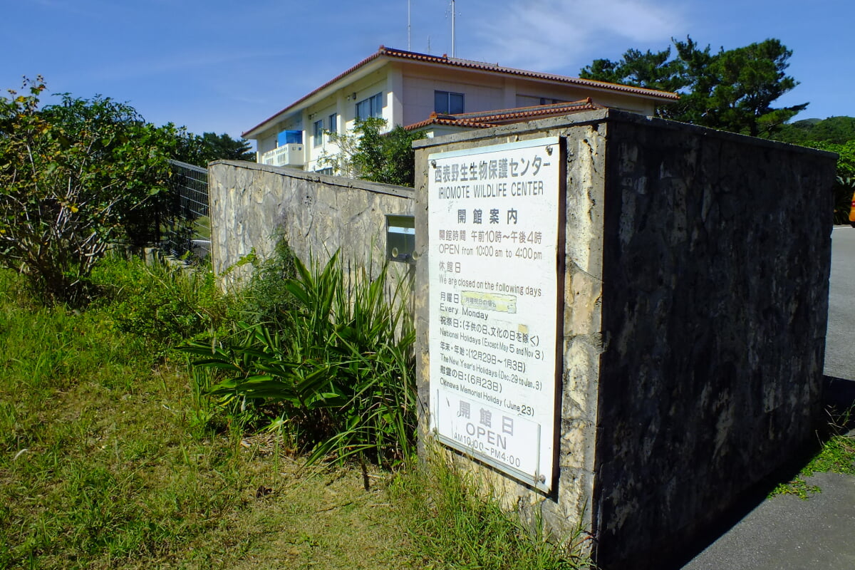 西表野生生物保護センターの写真7