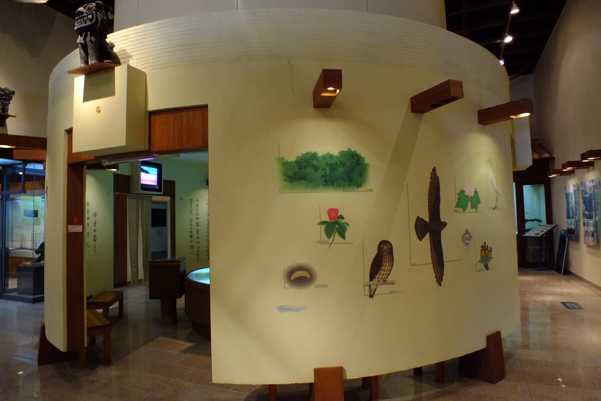 西表野生生物保護センターの写真1