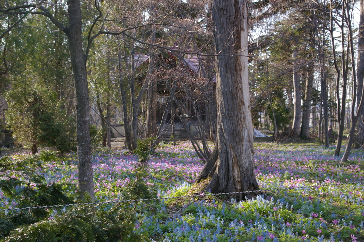 浦臼神社の写真1