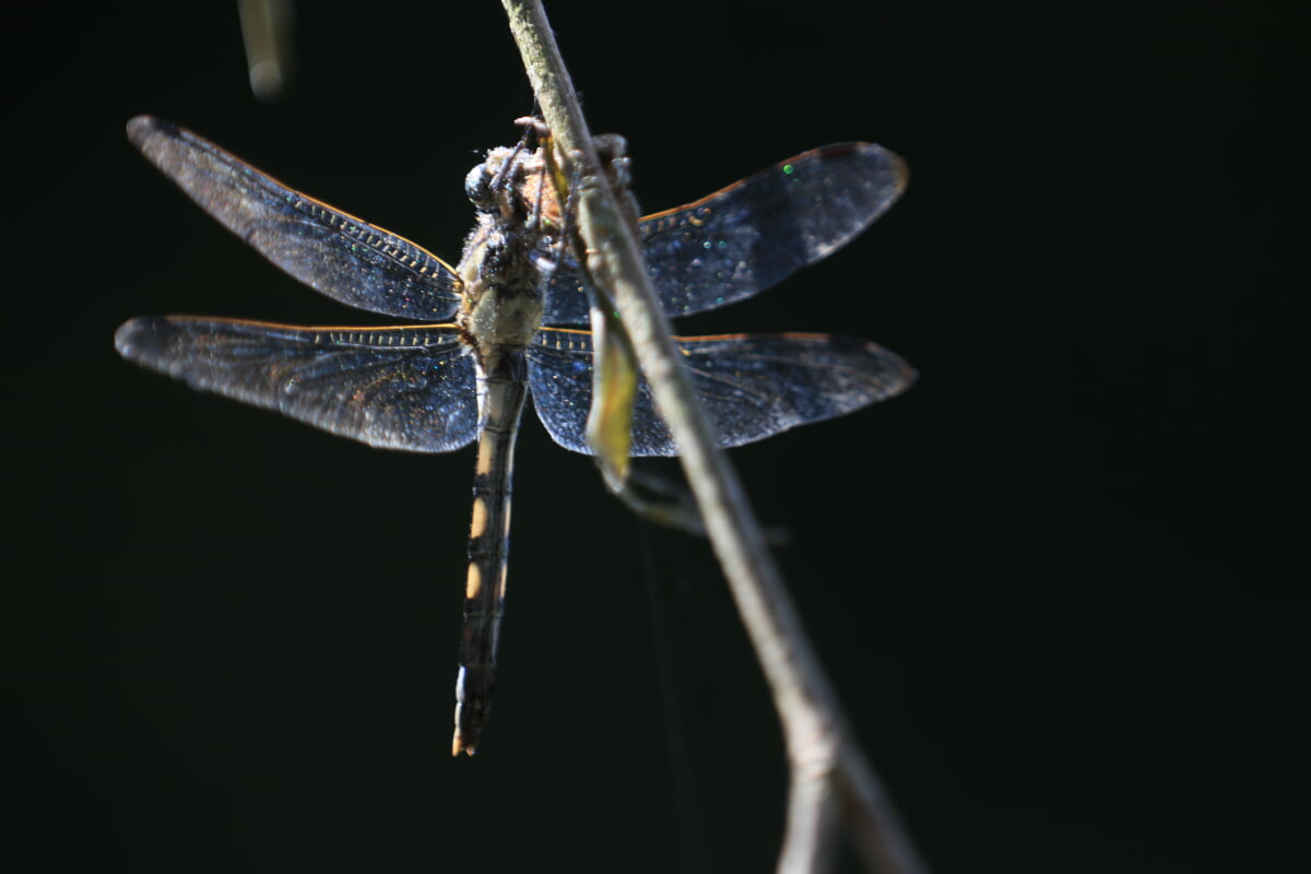 鎌倉中央公園の写真1