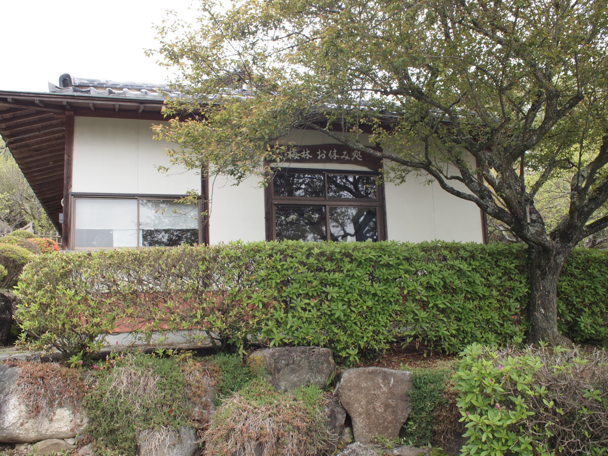 筑波山梅林の写真2