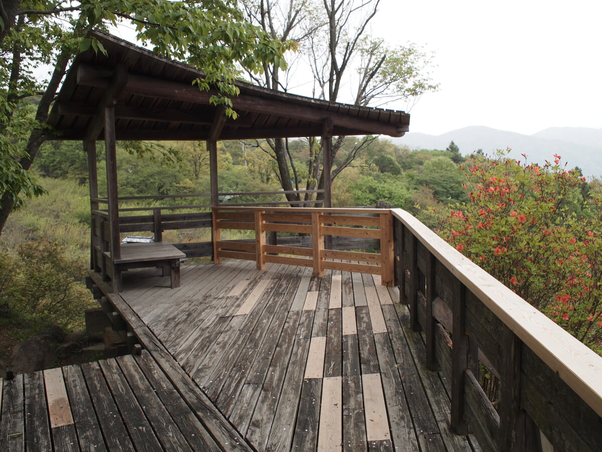 筑波山梅林の写真6