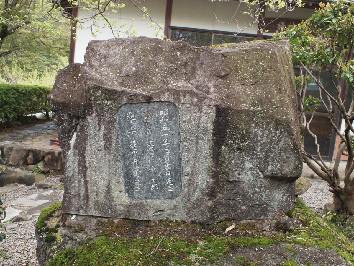 筑波山梅林の写真13