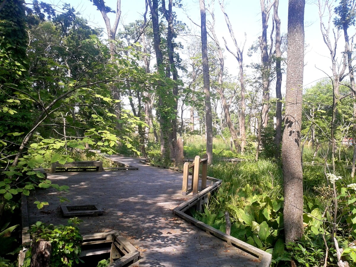 カリンバ自然公園の写真2