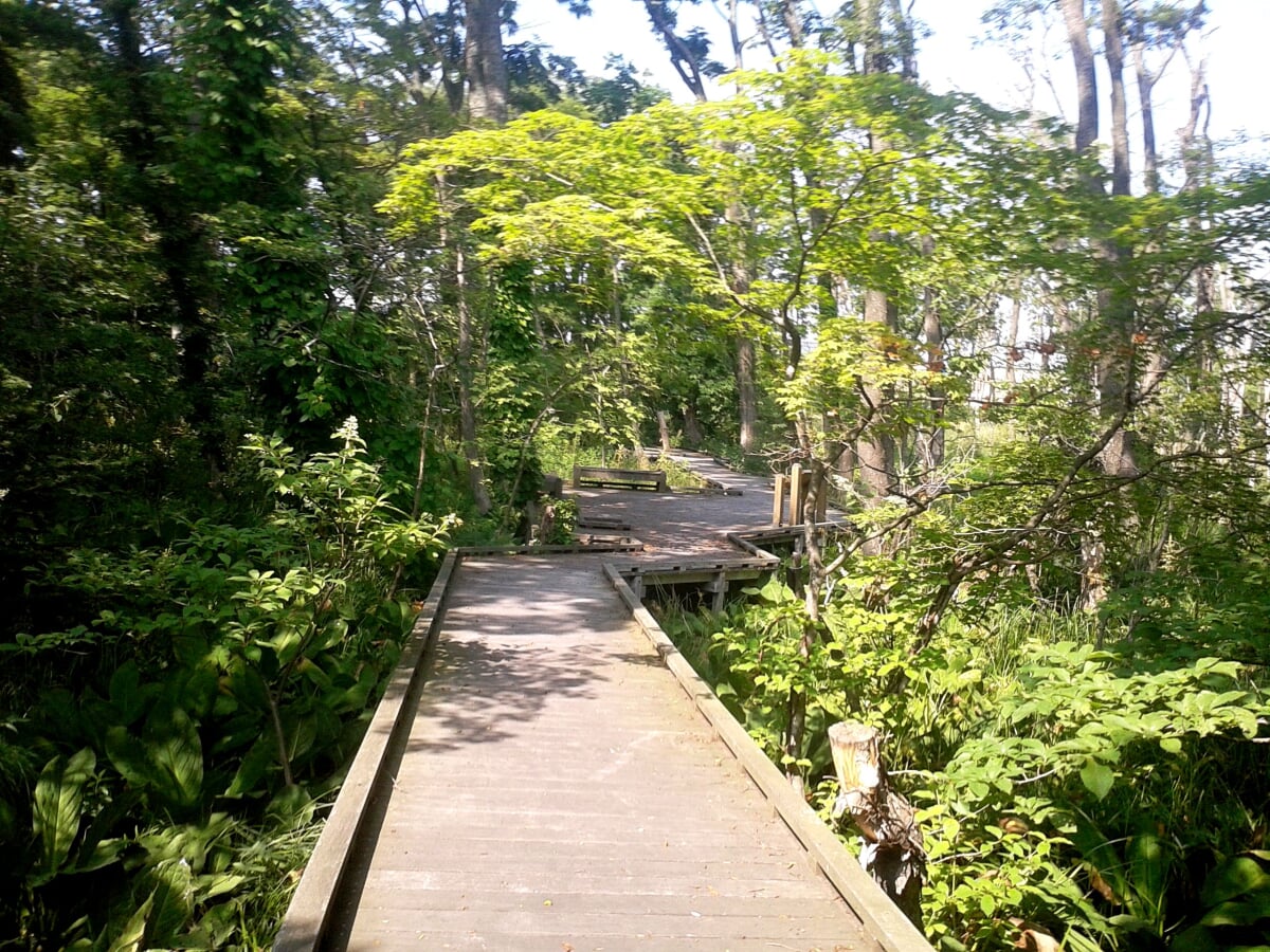 カリンバ自然公園の写真3