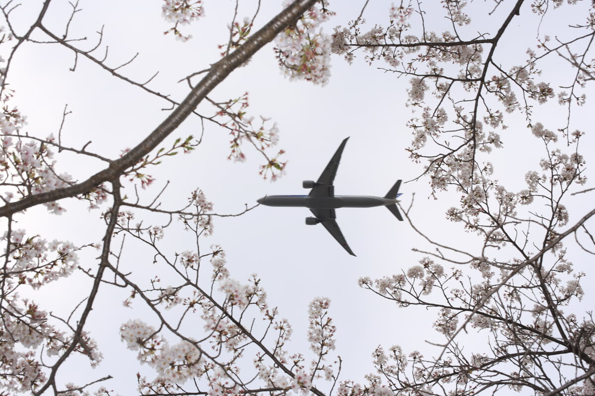芝山水辺の里の写真3