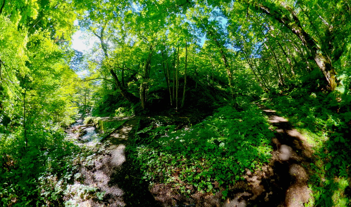 くろくまの滝の写真2