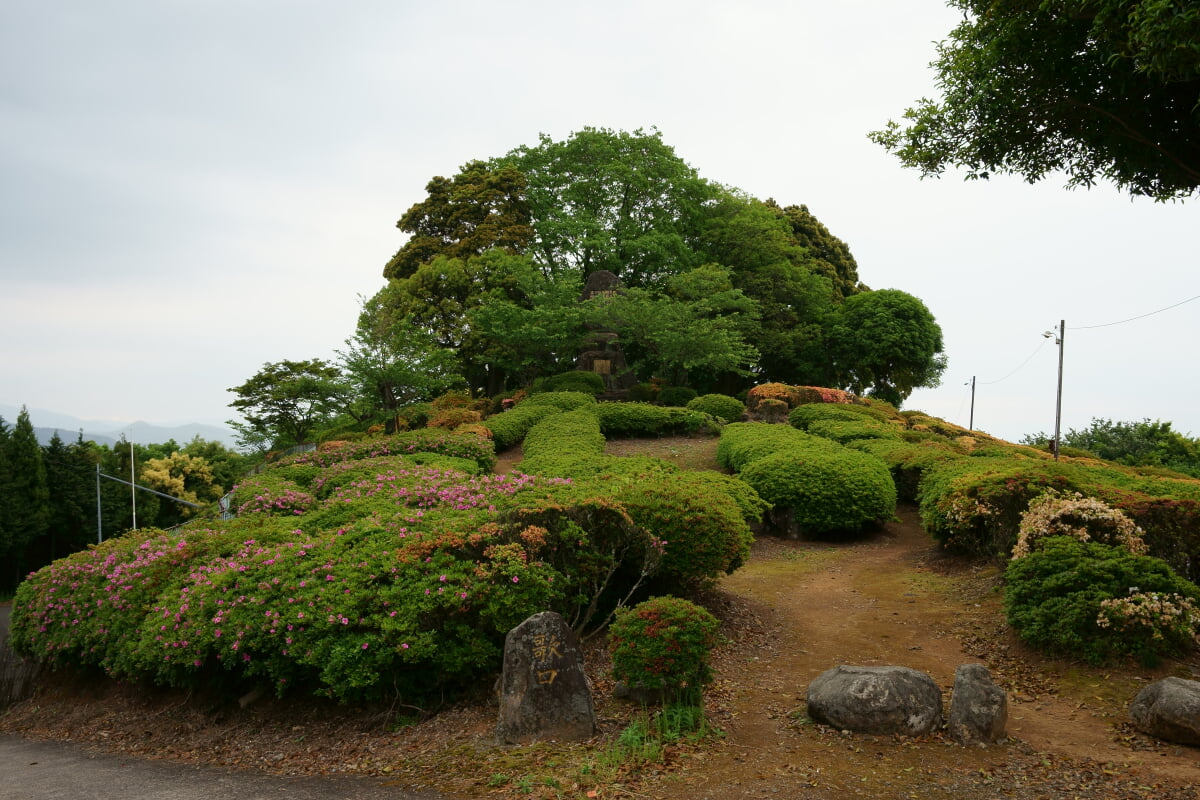歌垣公園の写真1