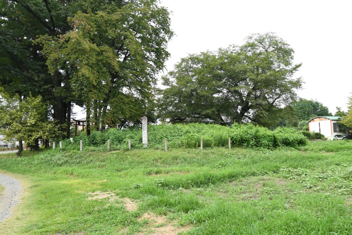 武井廃寺塔跡の写真2