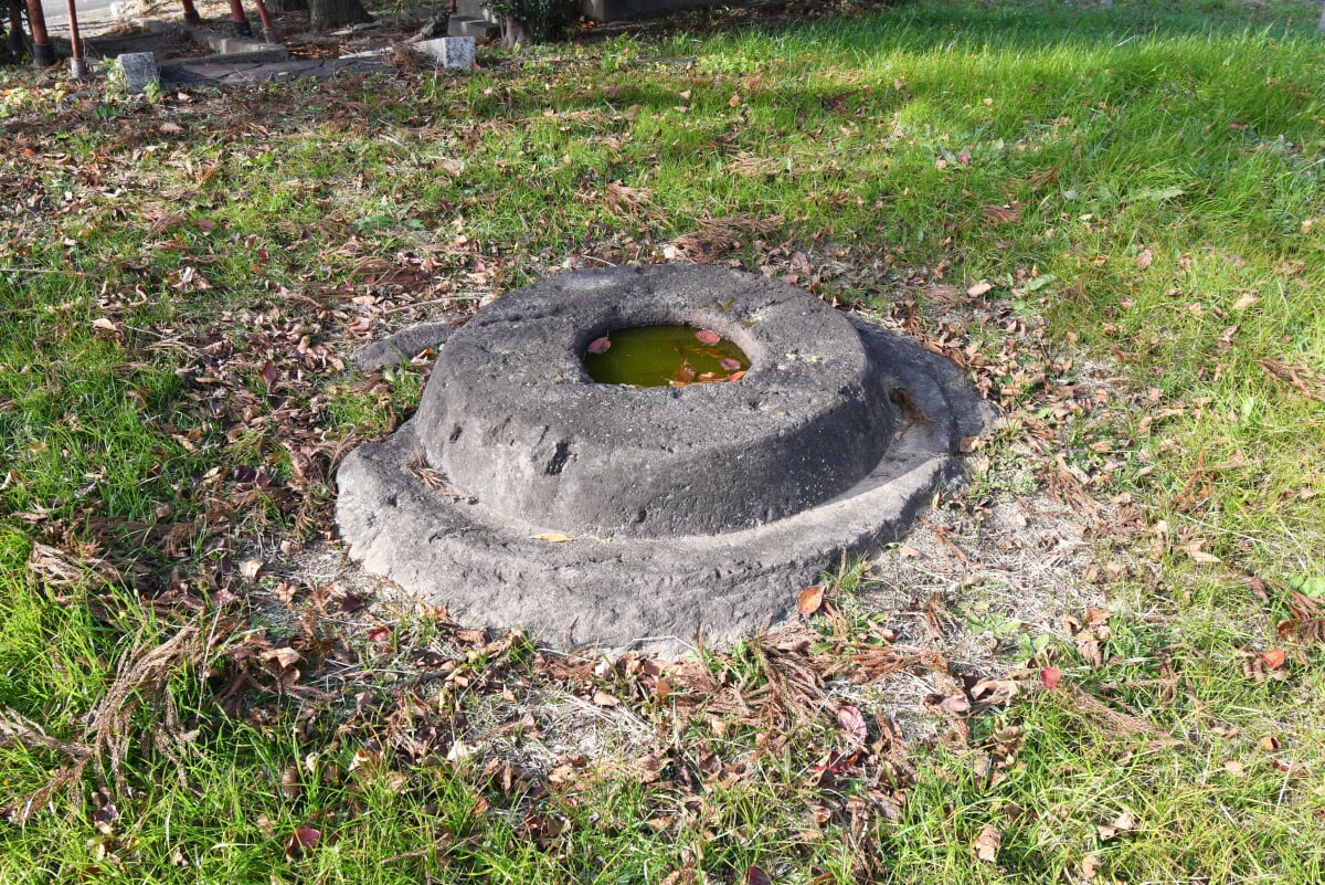 武井廃寺塔跡の写真3