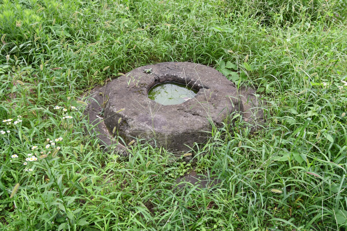 武井廃寺塔跡の写真4