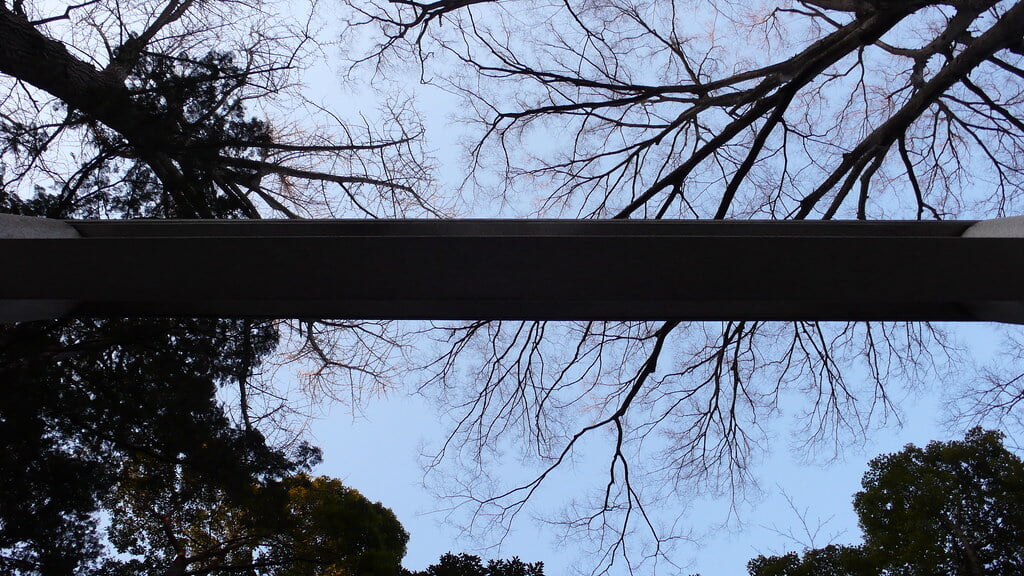 武蔵野八幡宮の写真2