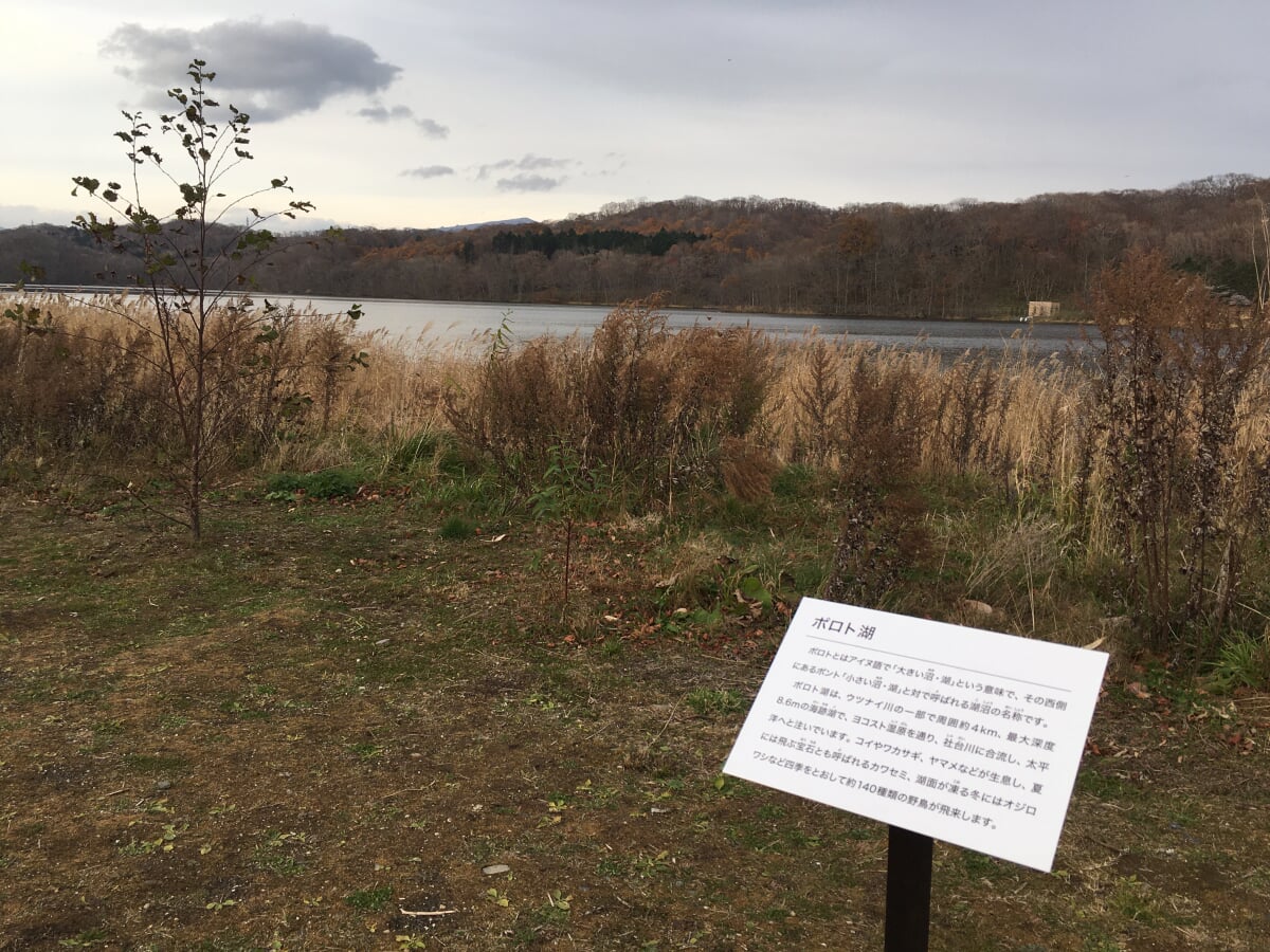 ウポポイの写真18