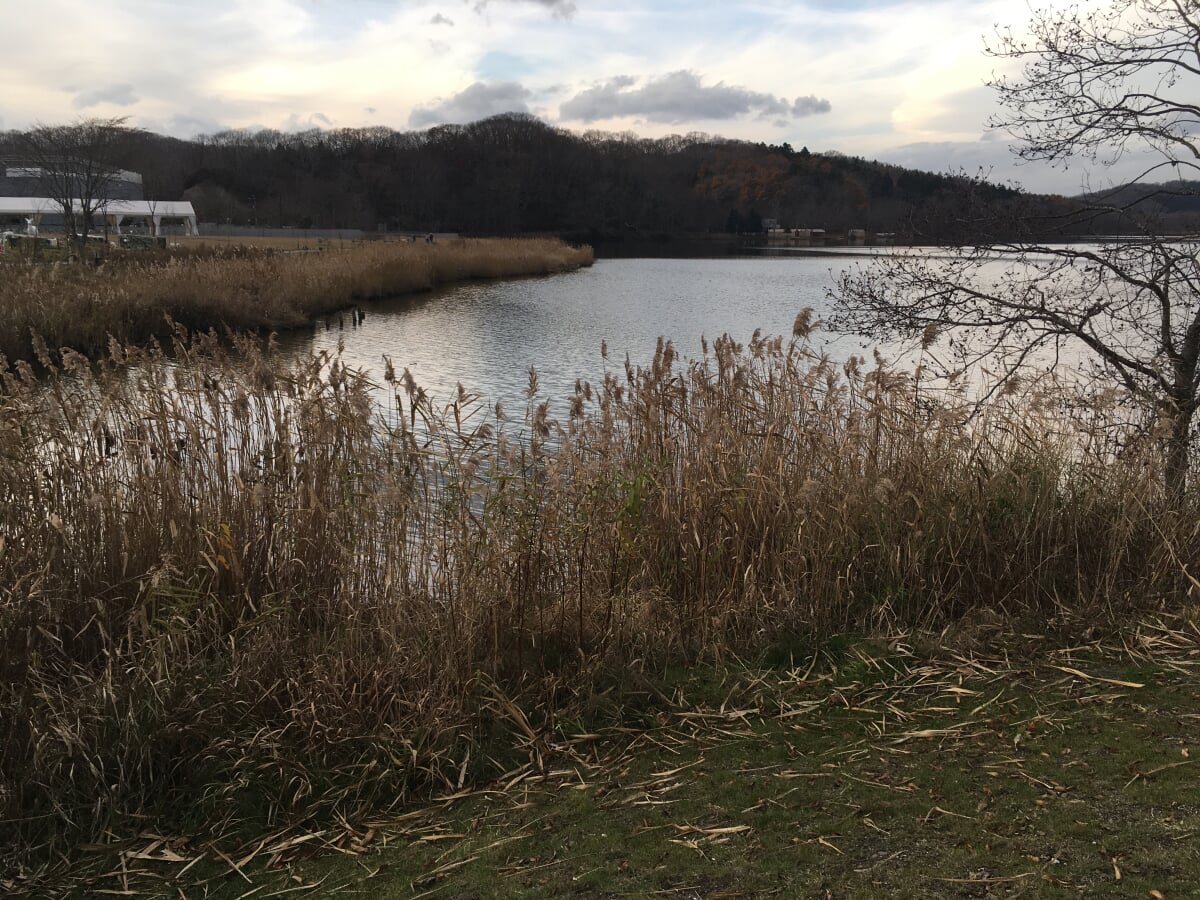 ウポポイの写真23