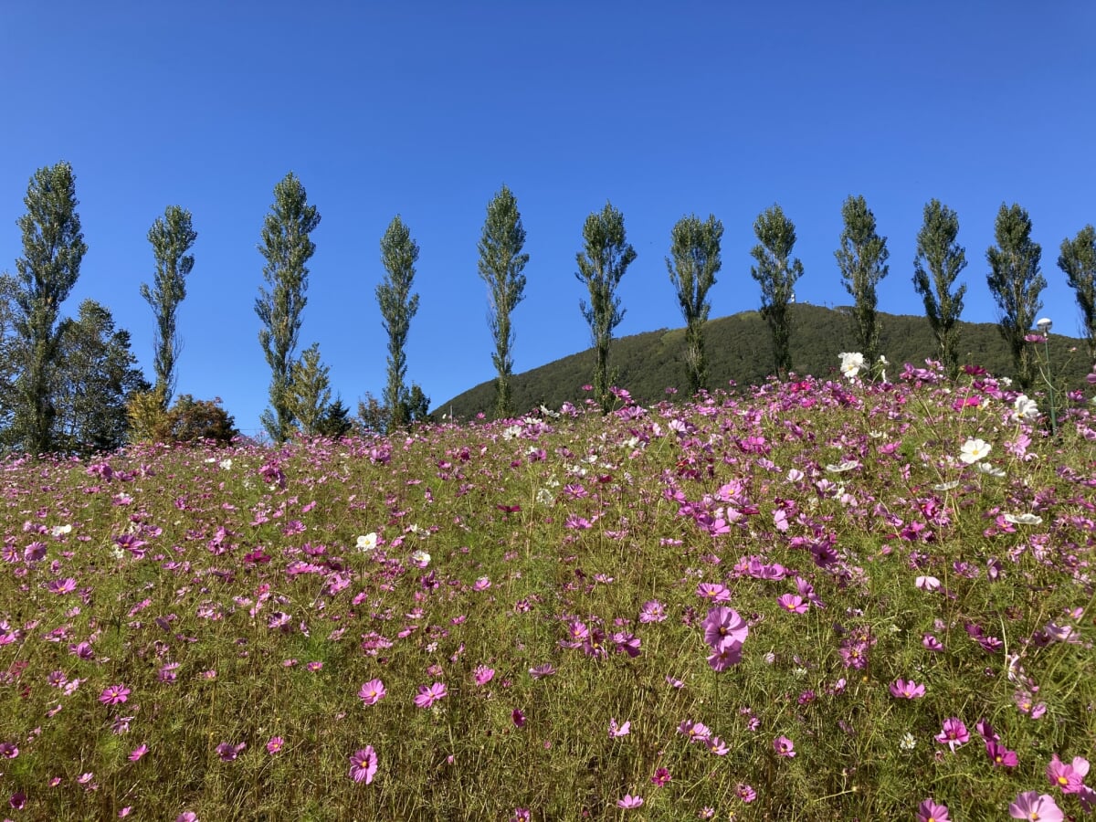 ルスツふるさと公園の写真2