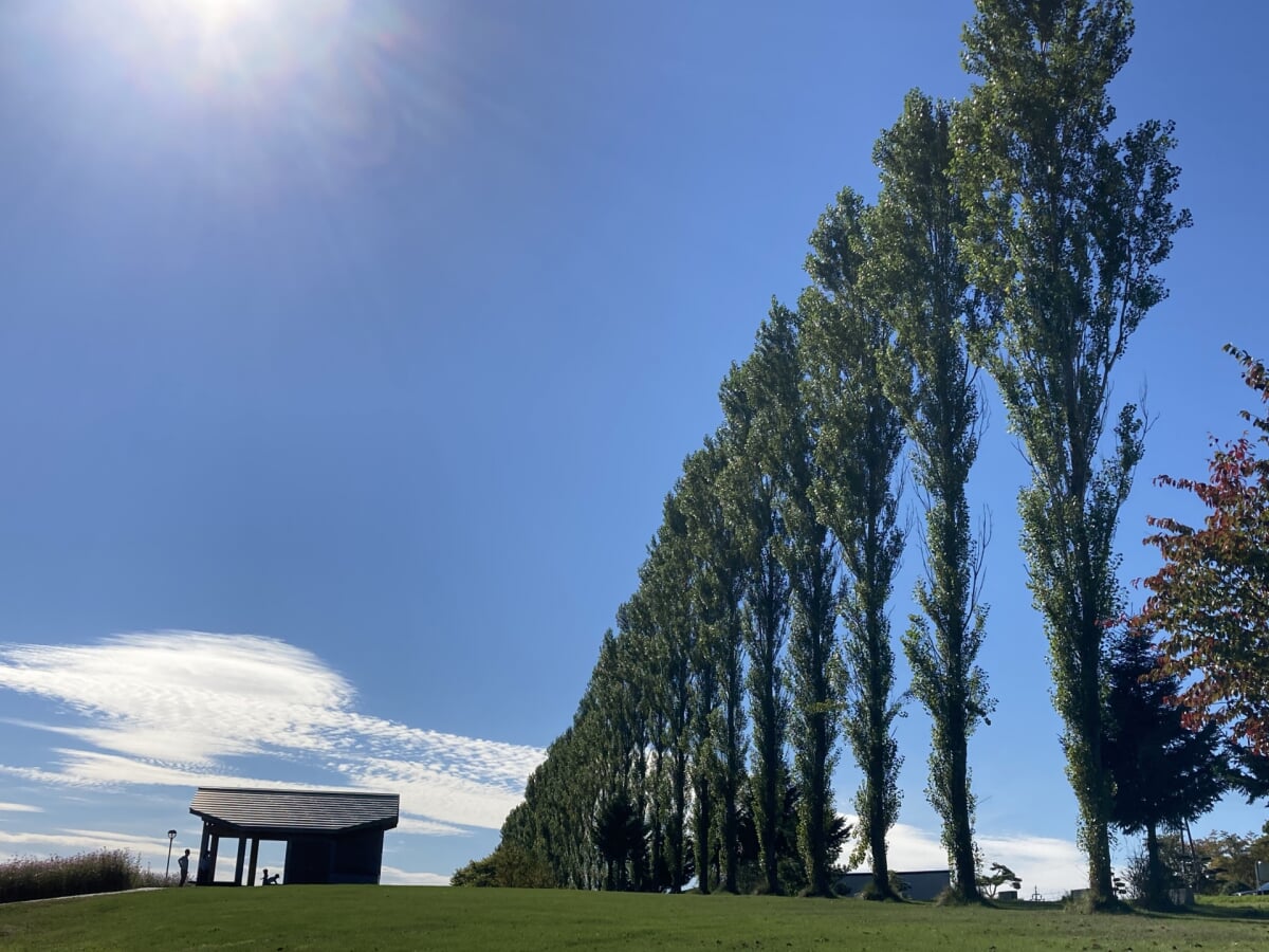 ルスツふるさと公園の写真1