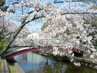 佐屋川創郷公園