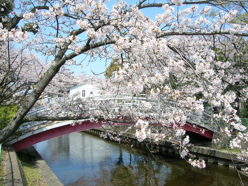 佐屋川創郷公園の写真1