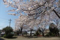 めじろ台南公園