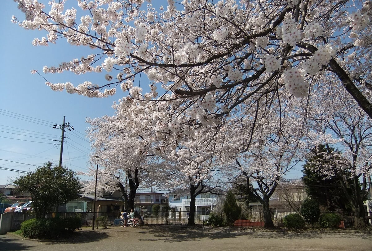 めじろ台南公園の写真1