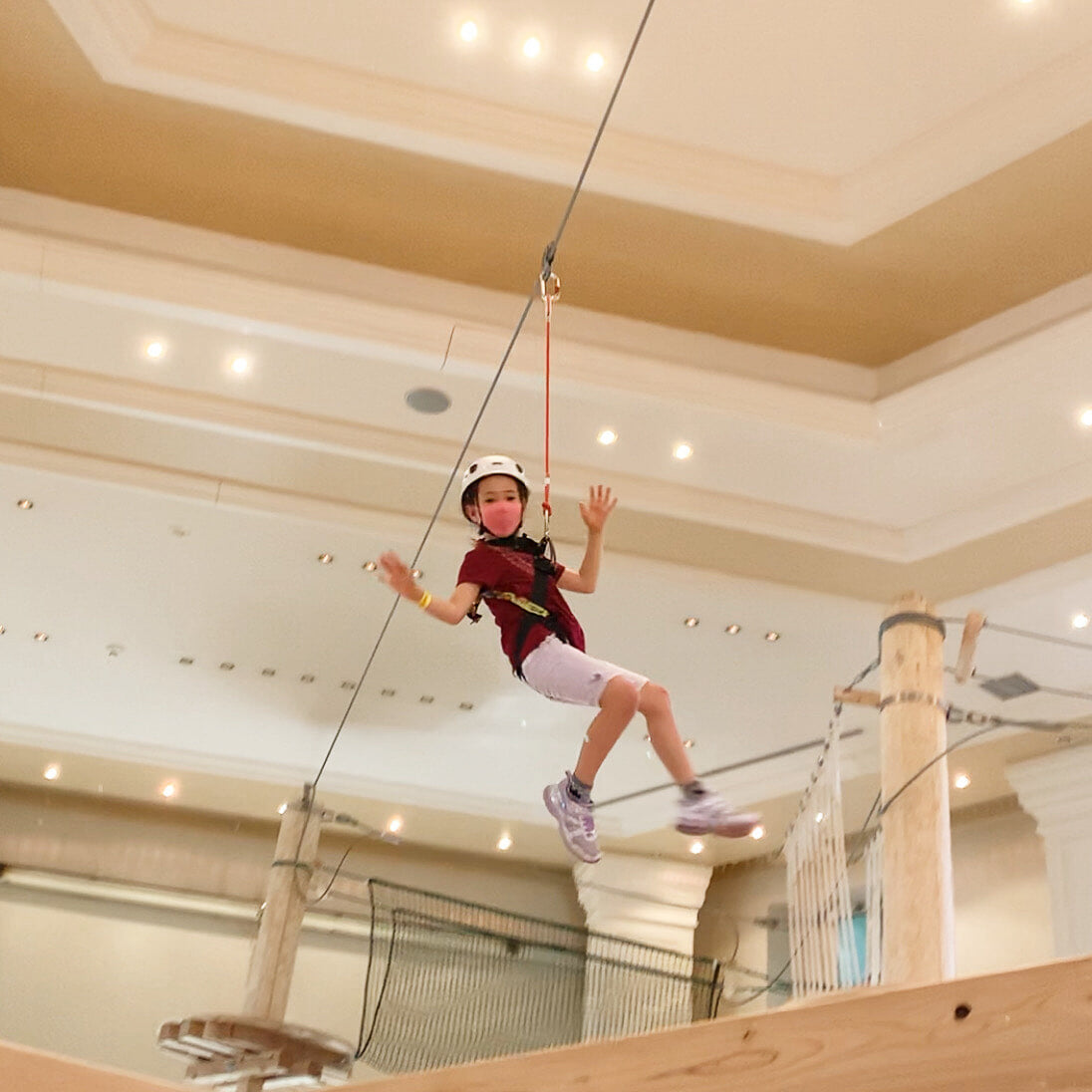 ボウケンノモリ TORIUSの写真5