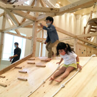 ボウケンノモリ TORIUS