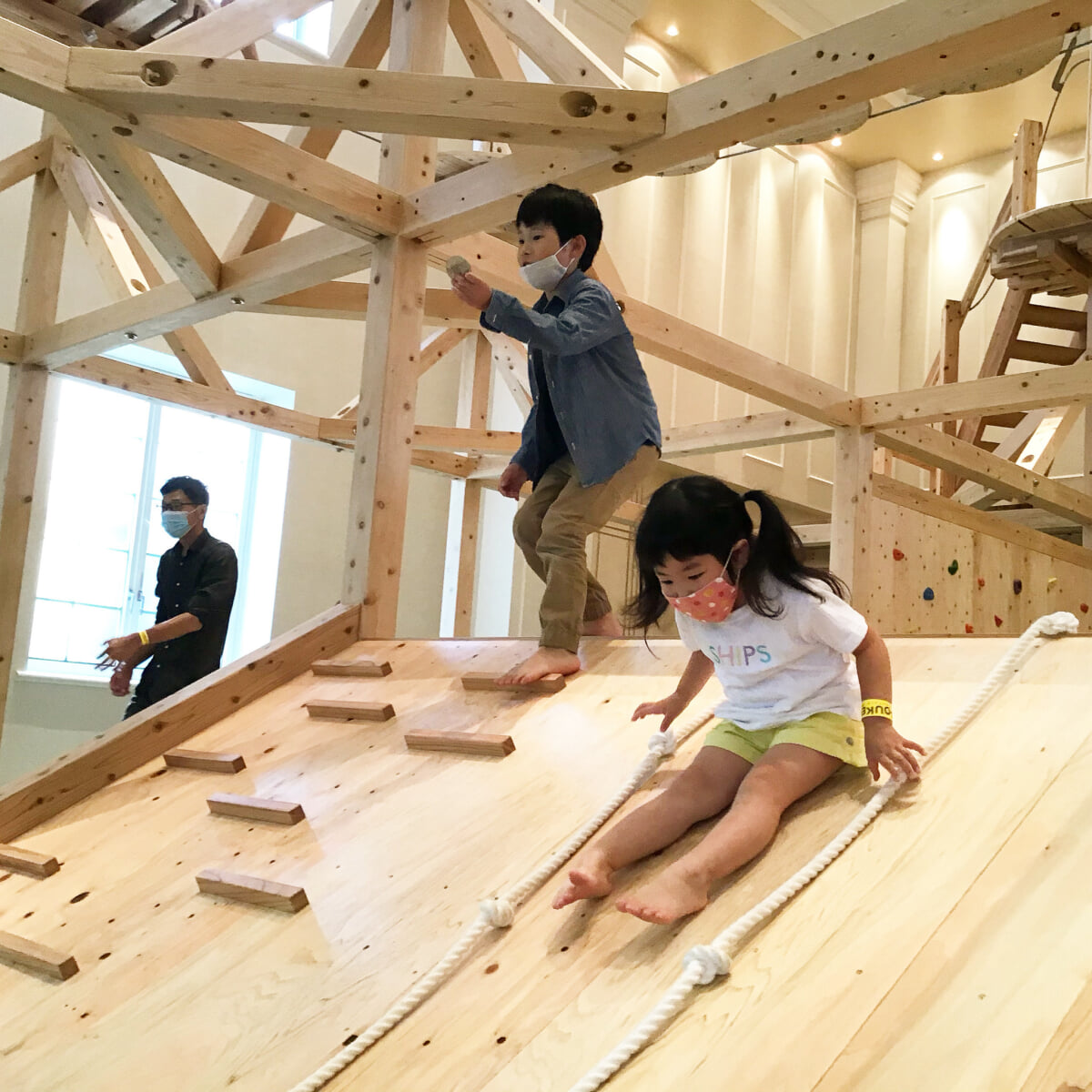 ボウケンノモリ TORIUSの写真1