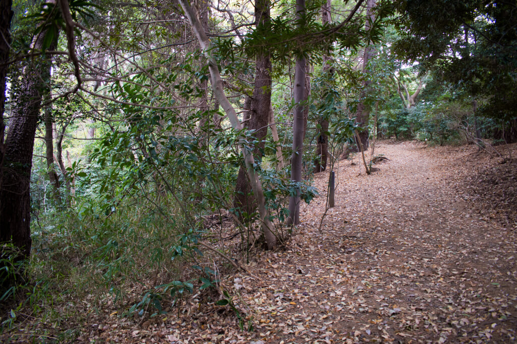岡本静嘉堂緑地の写真2