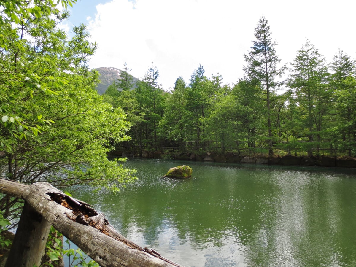 御泉水自然園の写真4