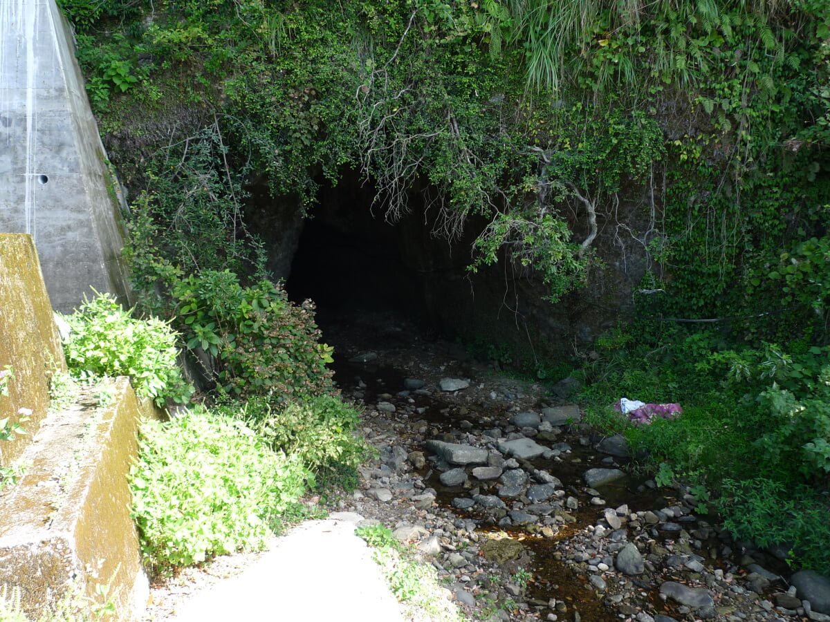 伊尾木洞の写真3