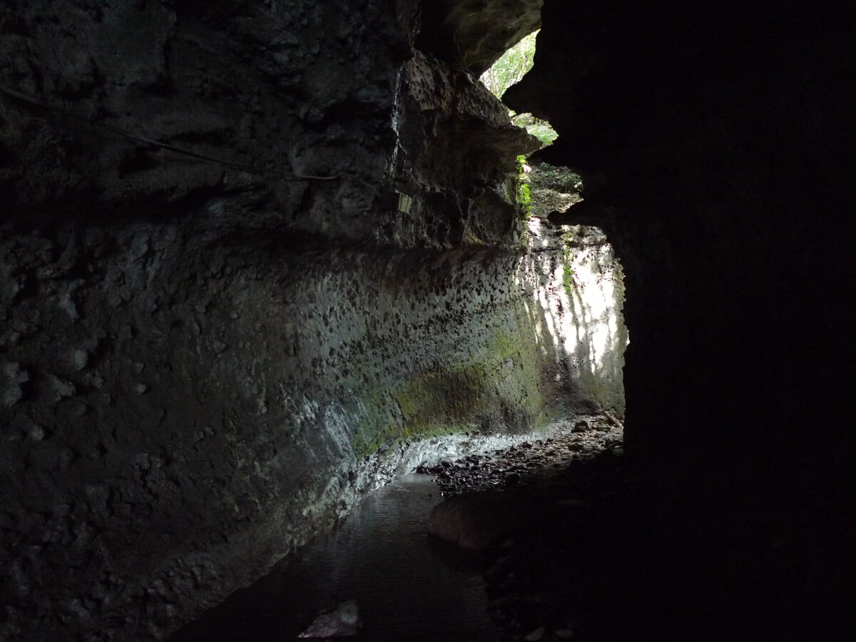 伊尾木洞の写真4